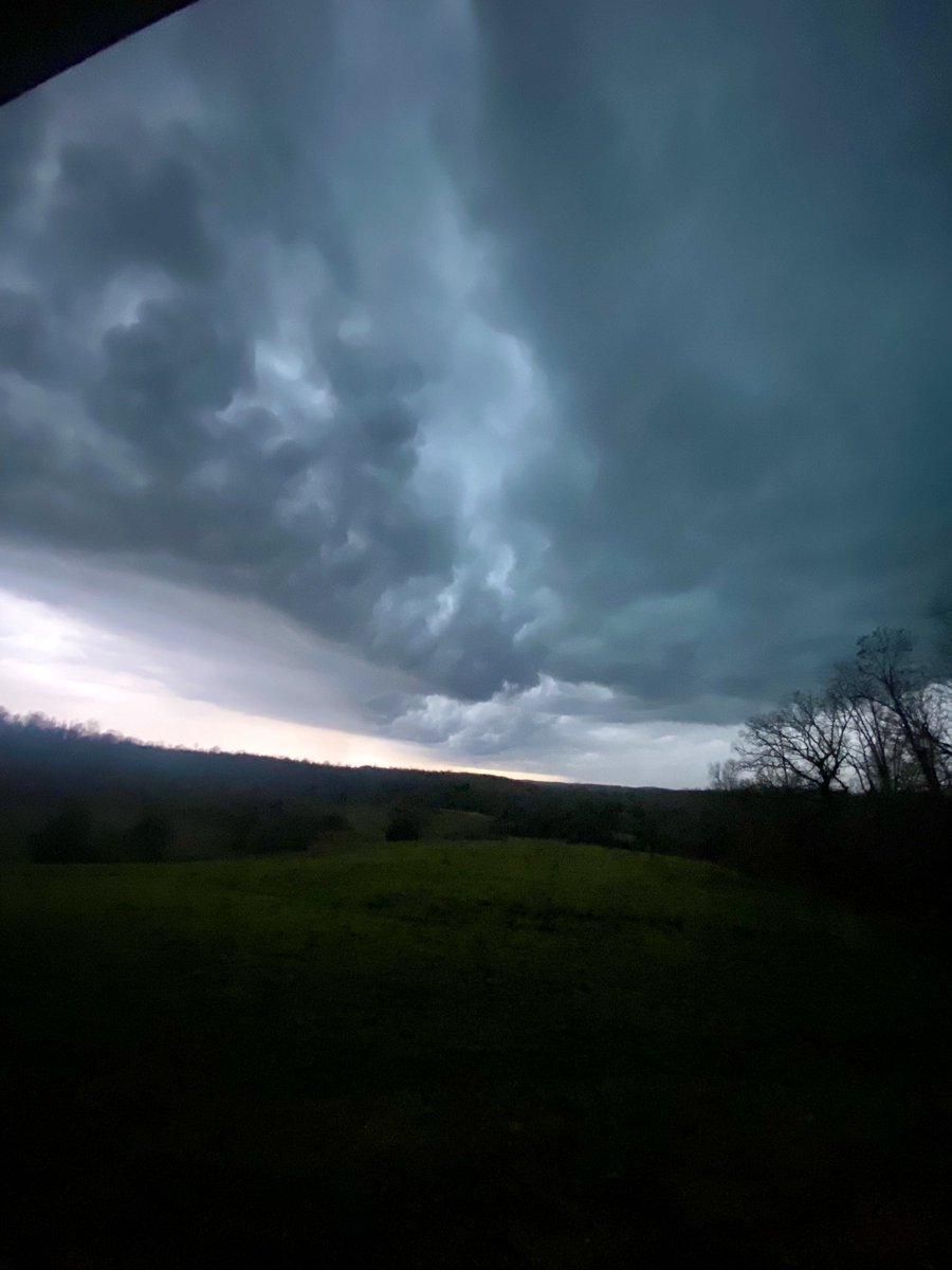 Cami Alexander tweet media