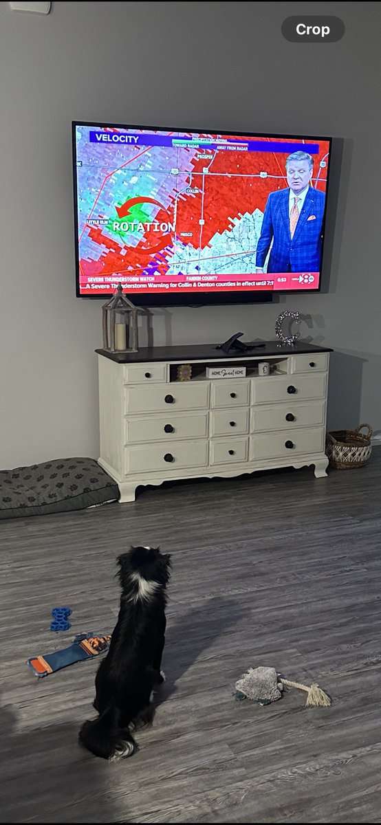 Bailey Colacecchi tweet media