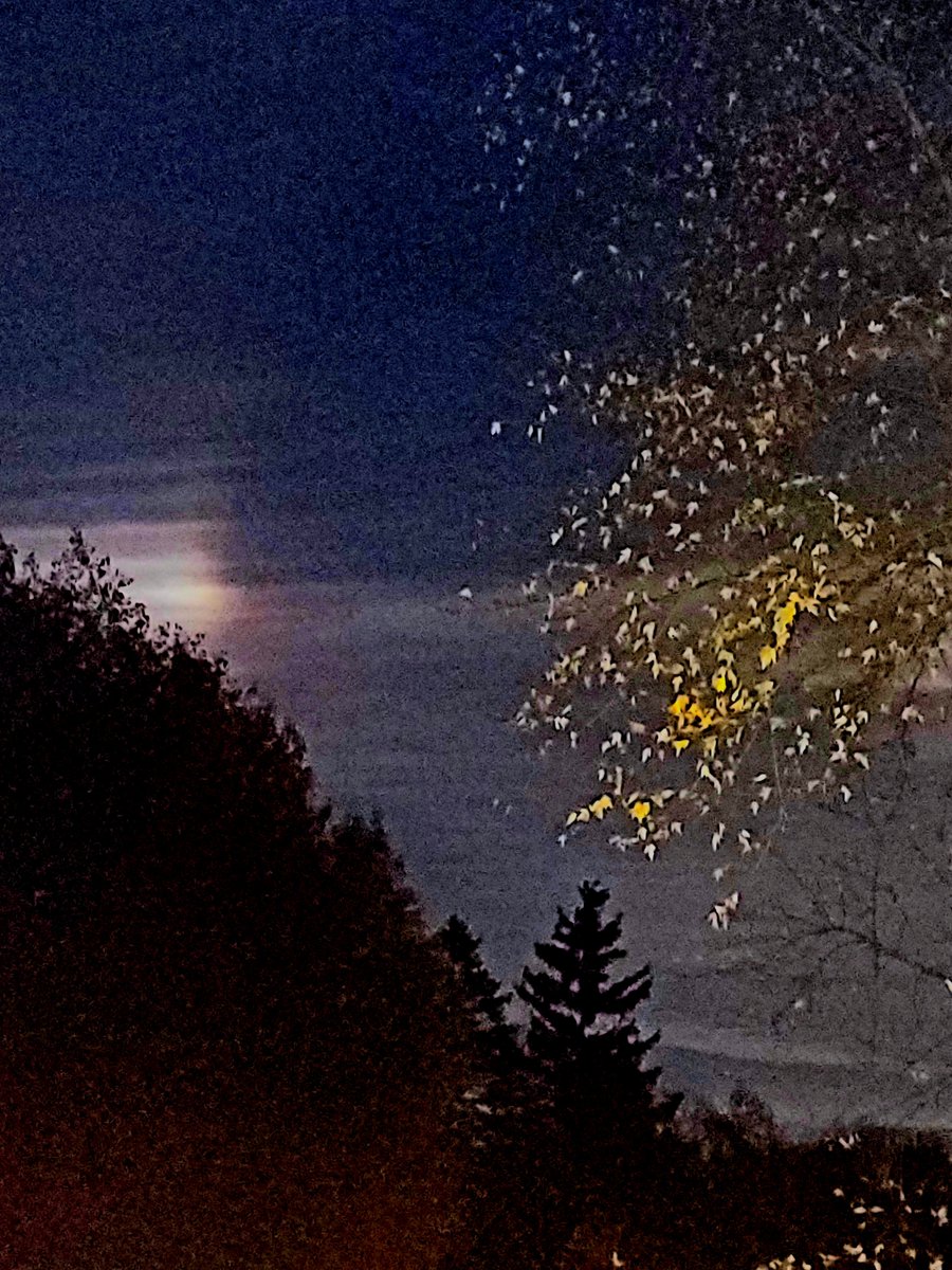 Praising God for the beauty of nature like a moonbow!
 #GodsPraiseRoom