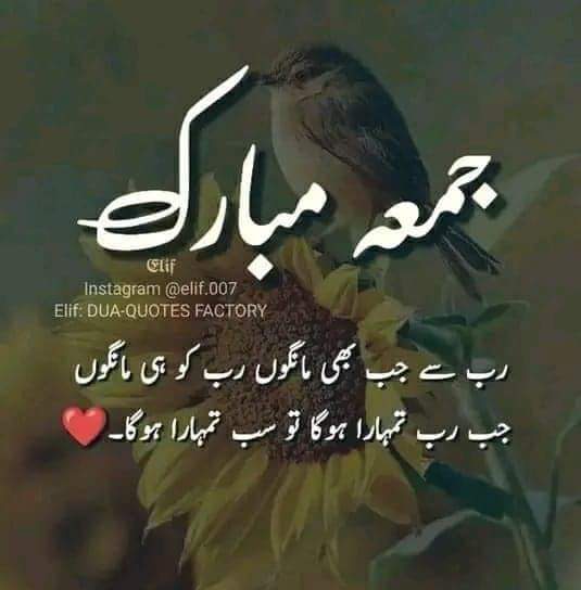 MuhammadBa49191's tweet photo. Assalamu alaikum jumma Mubarak ho ❤❤ https://t.co/Z92366U3V3