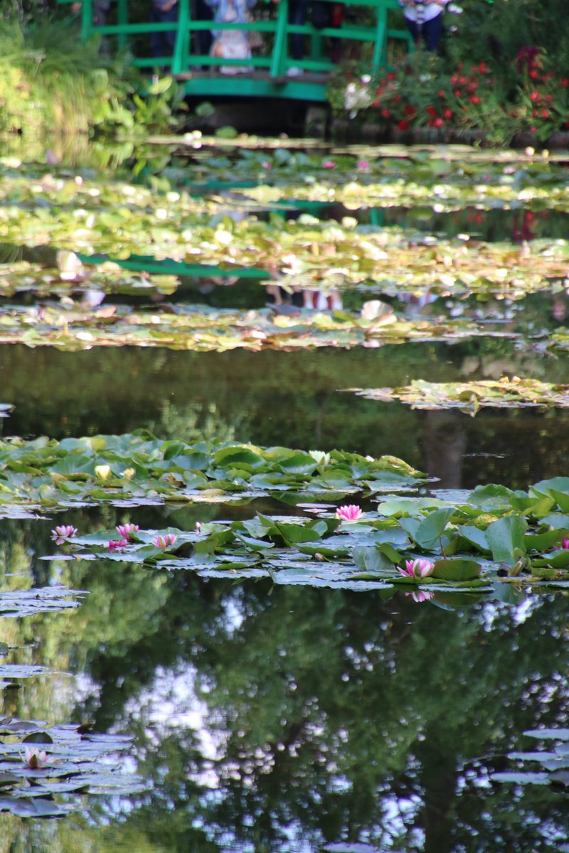 A French Collection tweet media