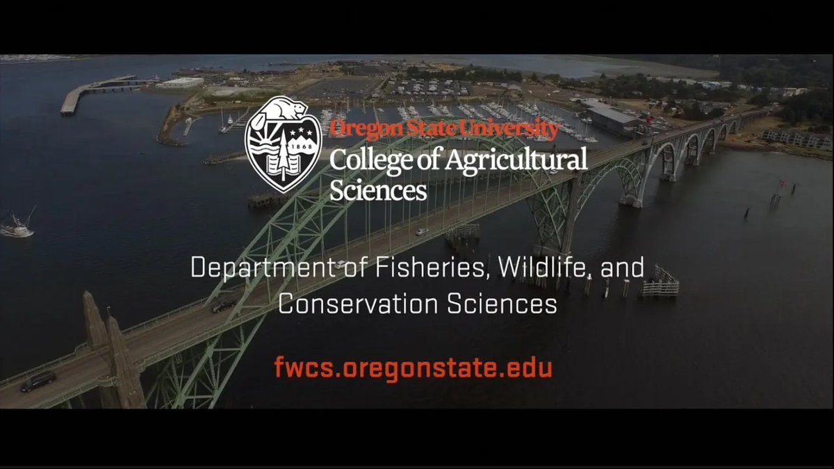 Did you know that for more than 85 years, we have been conducting cutting-edge wildlife & fisheries research? @osufwcs engage with federal and state agencies, landowners, commissions, tribes, and many other partners. youtu.be/jPEdjPdSF9c