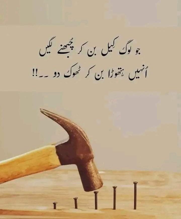 Sub ko thook dala 🔨⚒️🛠️

😂🤣