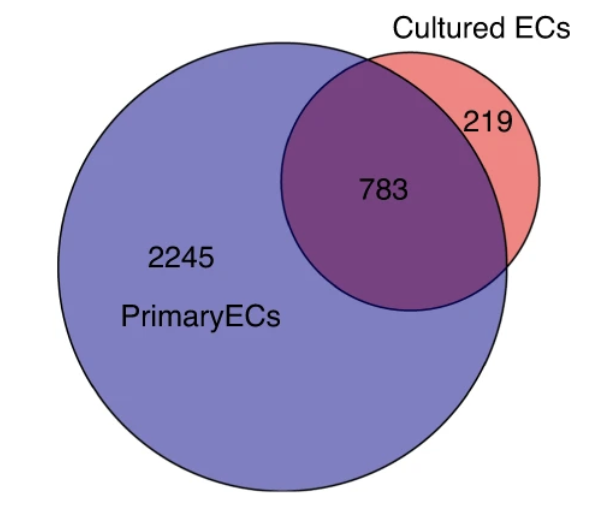 Shreeram Akilesh 🐙 tweet media