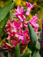 ML_HH's tweet photo. @swradiogram Thanks for good program today on 9265 kHz. I received all text and pics fairly good in north Germany. Here are some examples ....  73, Manfred https://t.co/qBfwuXmjOR