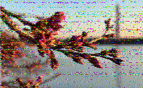 ML_HH's tweet photo. @swradiogram Thanks for good program today on 9265 kHz. I received all text and pics fairly good in north Germany. Here are some examples ....  73, Manfred https://t.co/qBfwuXmjOR