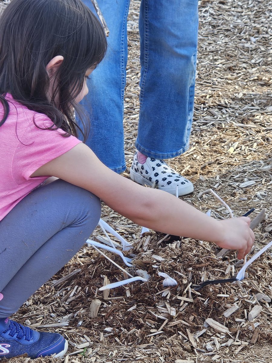 Emily Dailey tweet media