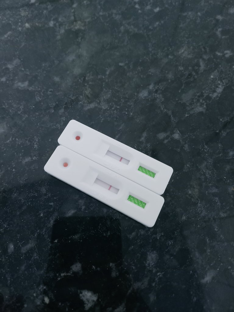 saikisunn's tweet photo. 》130324

- revisão de parasitologia 
- teste prático de leishmaniose 
:) https://t.co/8Dh98lL1cl