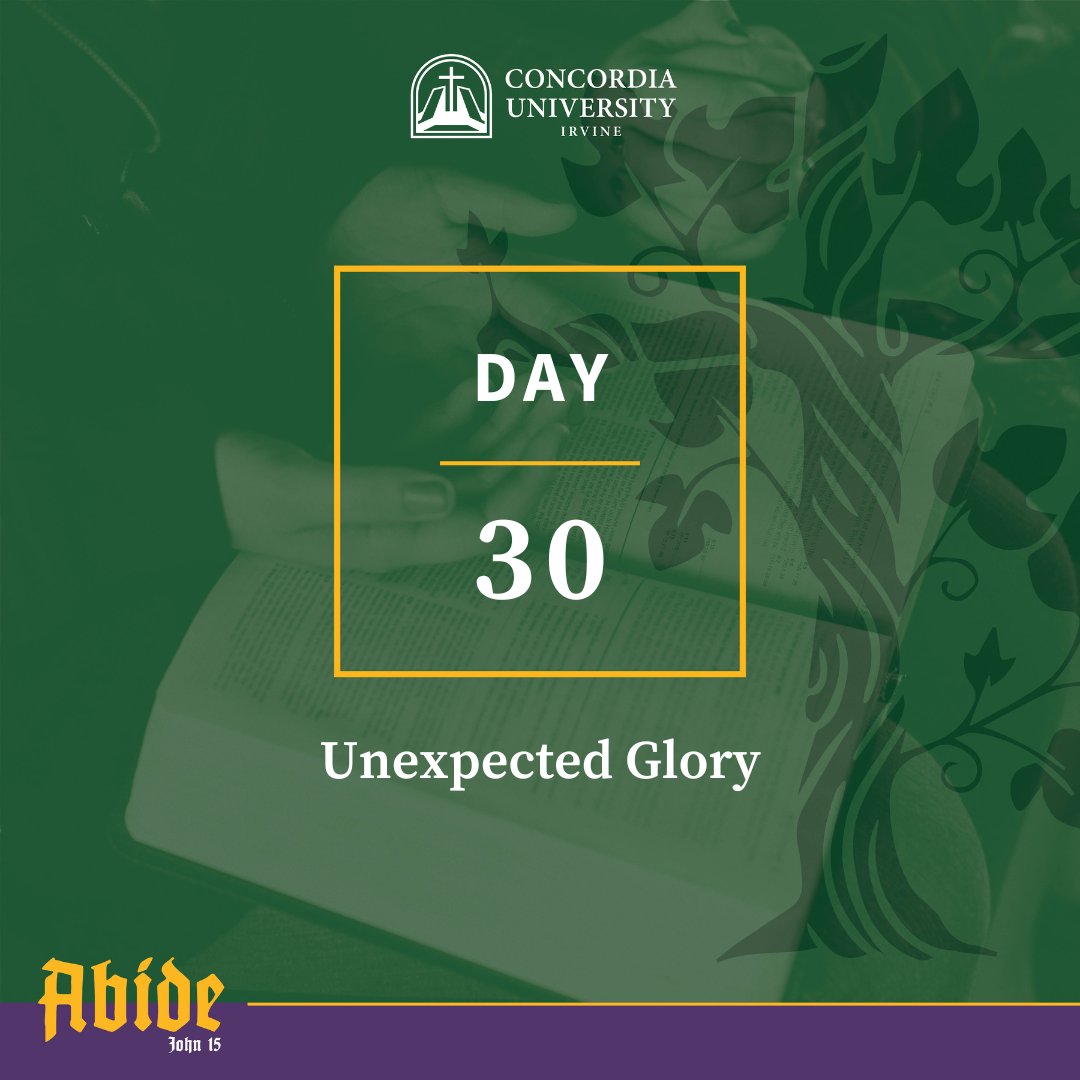 abbeywest_cui's tweet photo. There were many times when we might have expected to see Jesus receive the honor, status, and glory that he deserved. 

To discover more, read today's Lenten Devotion here https://t.co/AG5jtdV6Os https://t.co/wc0BYUARZg