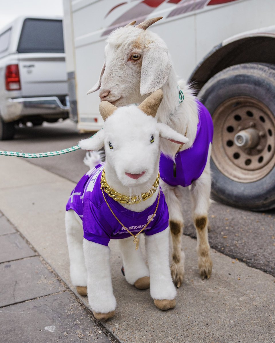 KStateWBB tweet picture