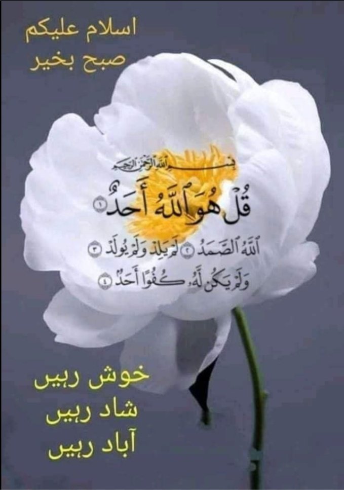 Dr. Lubna, PhD tweet media