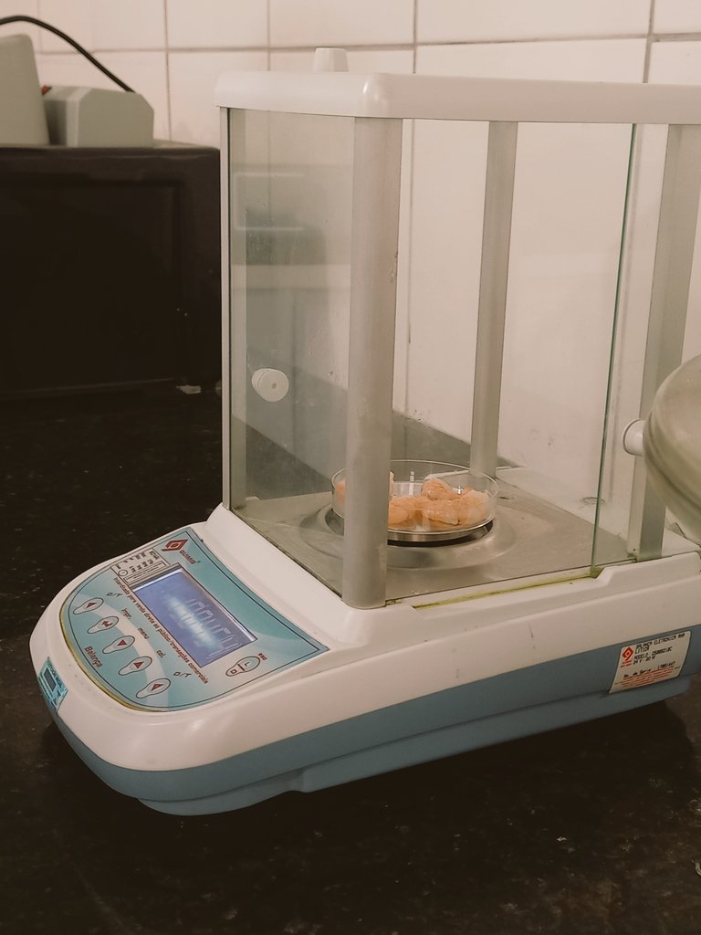 saikisunn's tweet photo. 》120324

- prática de contagem de bactérias.
nesse dia, tinha frango, carne e camarão  para examinar
eu e minha equipe acabamos ficando com camarão 🍤 😽 https://t.co/MLY6uMbqoE