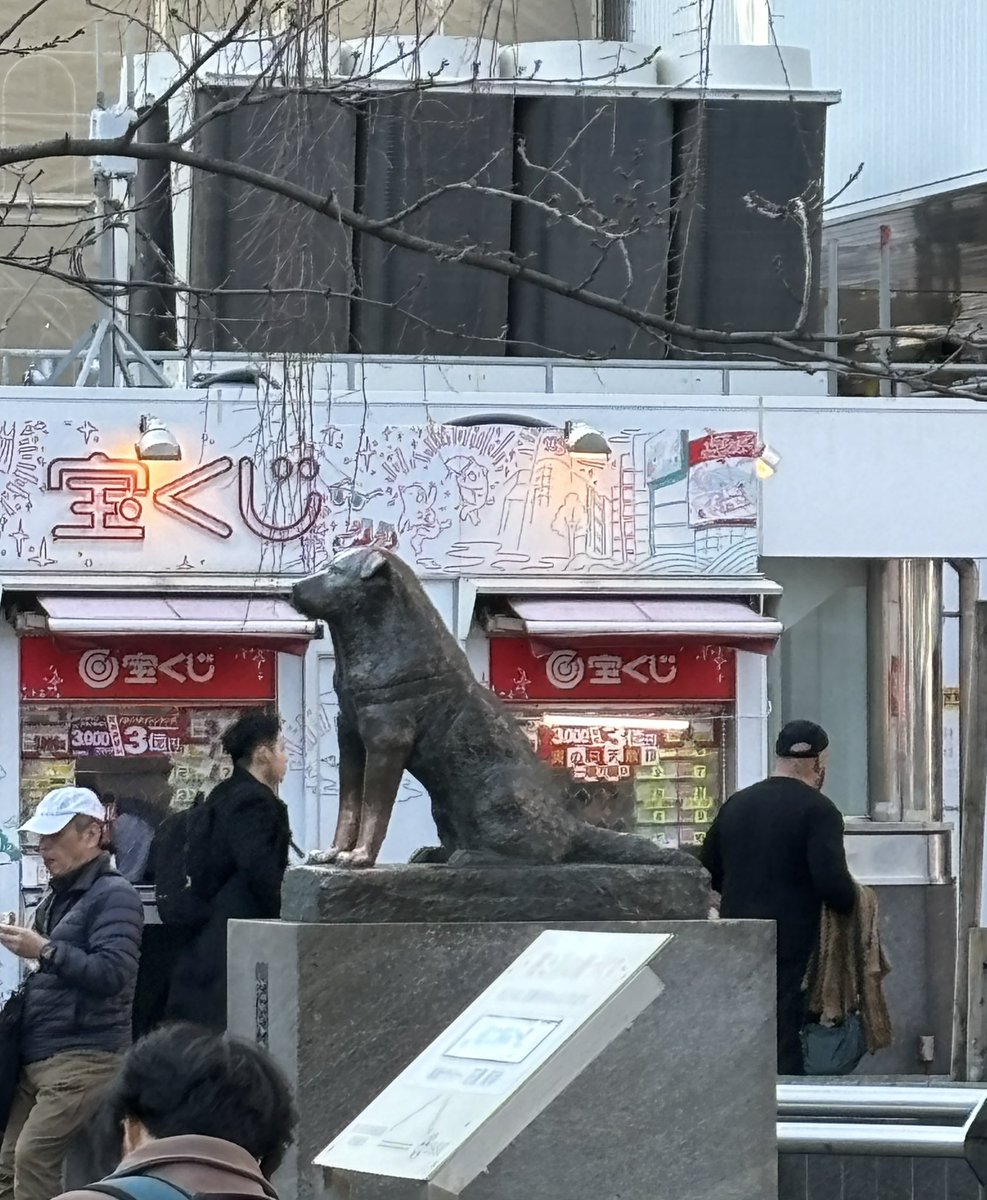 Brian Rifkin, MD tweet media