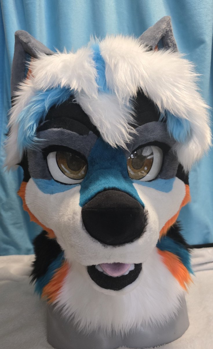 Going to TFF this weekend?? Come check out this guy in the Artist Alley! 
He comes with Head, Handpaws, Armsleeves, Tail, and two sets of eyelids!

Gonna upload his official pics after the con!