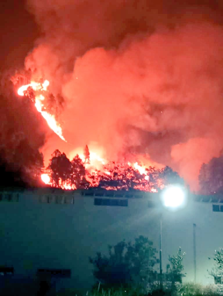 Incendio forestal se presenta en el bosque de pino en el sector Campo Claro de la ciudad de Mérida