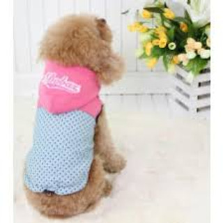 15% off all #dogclothing this MArch with coupon code A6NLQ757124   Shop #elliots soon