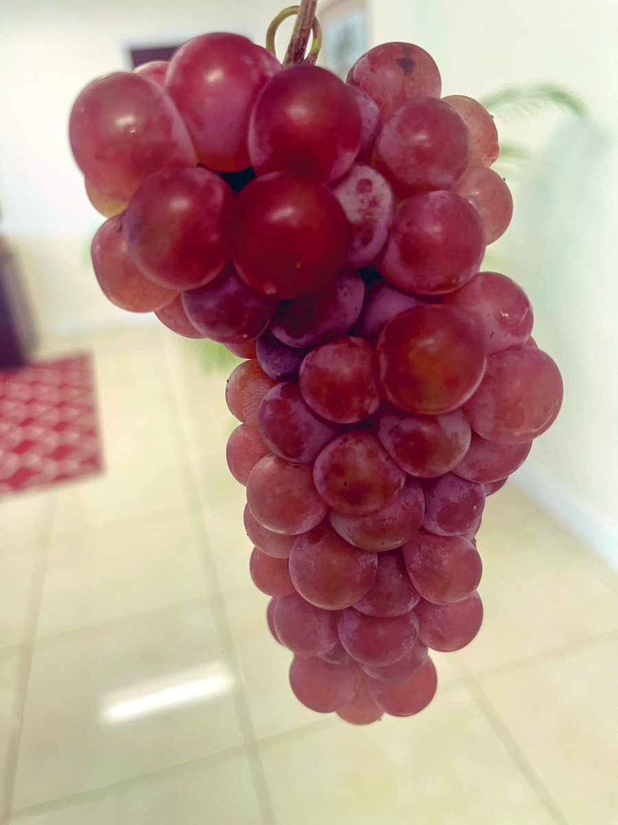 Hon. Mark Brantley tweet media