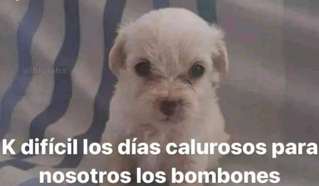 triste y con ganas de morirme ☹︎ (@cxrrly) on Twitter photo 