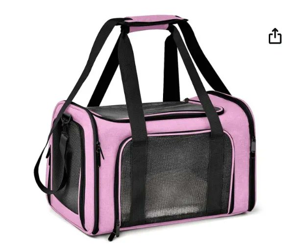 A good boy knows what I want. I just received a Cat Carrier for Moving Day from Anonymous via Throne-<a href="/tag/cbj"class="tags"><span>#cbj</span></a>