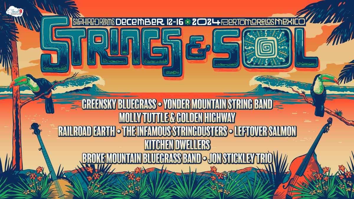 Strings & Sol tweet media