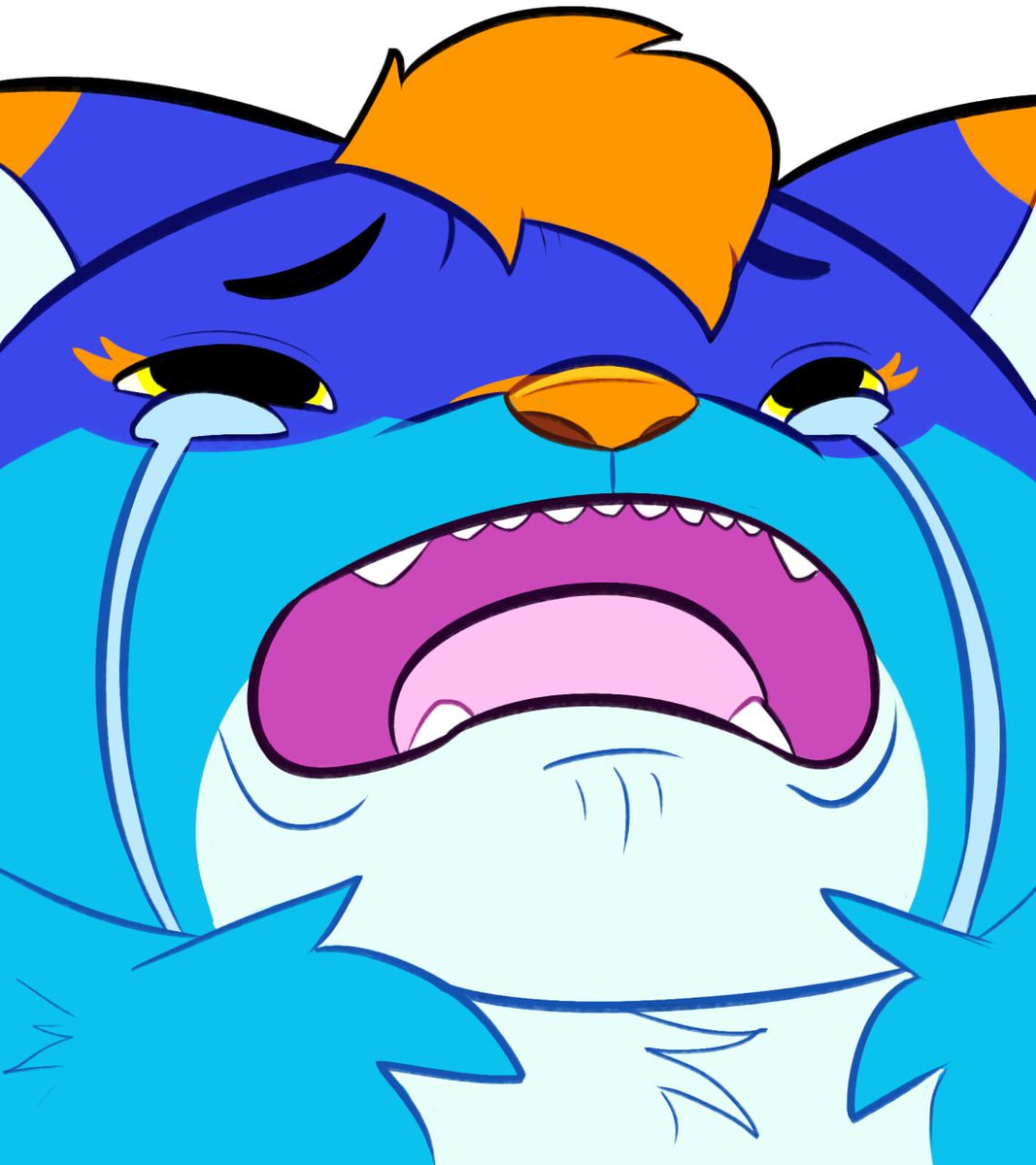 Gibb 💛🦈 🔜 CFZ26 tweet media