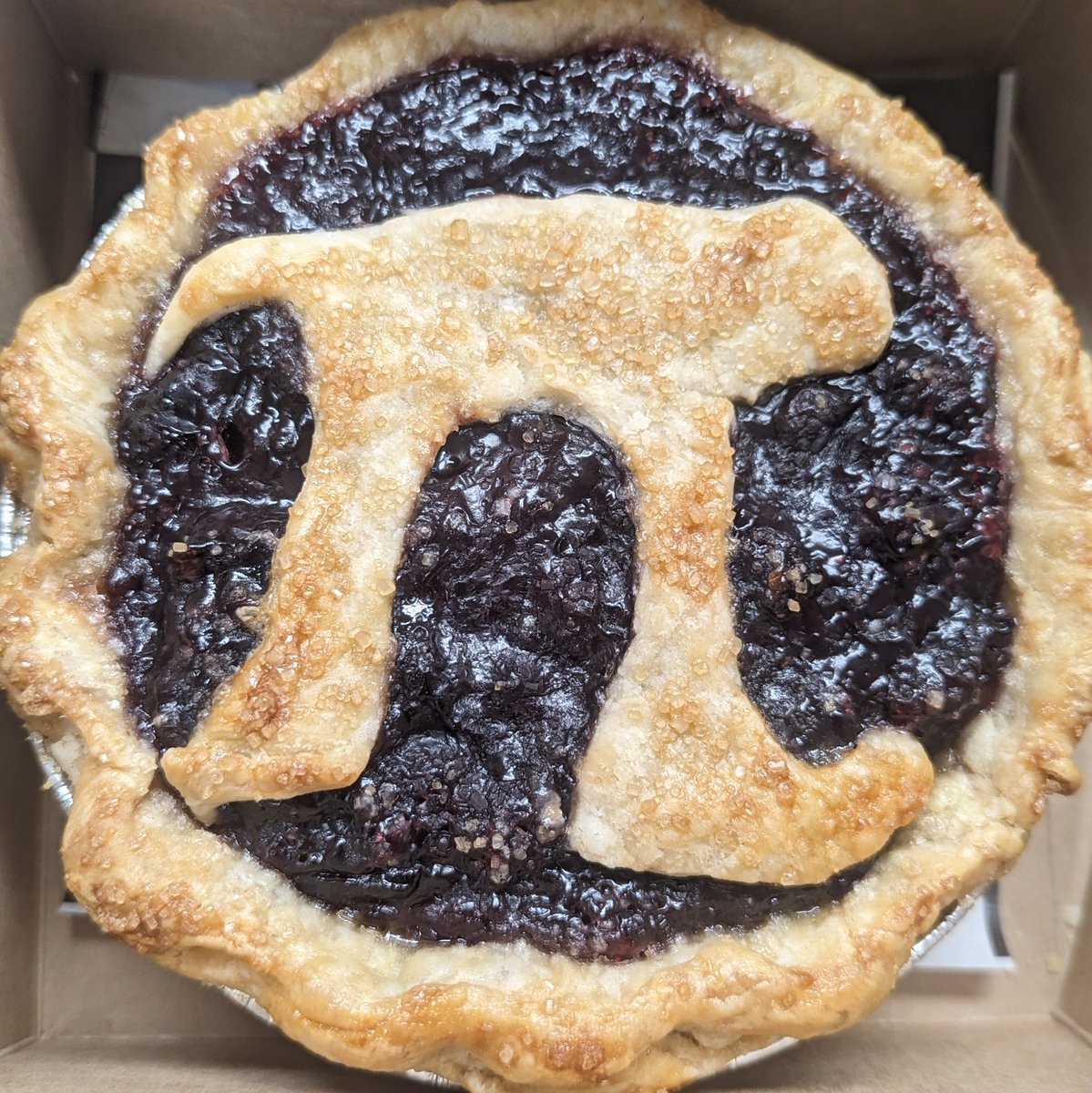 SupraCat tweet media