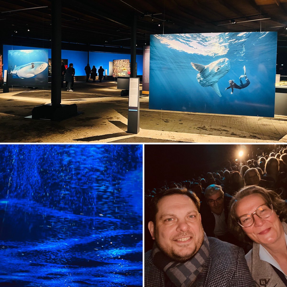 Ina Scharrenbach (@inascharrenbach) on Twitter photo #Planet #Ozean | In der höchsten Ausstellungshalle 🇪🇺 geht es dieses Mal ab in die Tiefe: <a href="/Gasometer_OB/">Gasometer Oberhausen</a> mit beeindruckenden Bildern und Musik aus der Tiefe zeigt Schönheit und Verletzlichkeit zugleich. Eröffnung mit OB Schranz & 700 Gästen. Mehr Infos 👉 gasometer.de/de/ausstellung… #Planet #Ozean | In der höchsten Ausstellungshalle 🇪🇺 geht es dieses Mal ab in die Tiefe: <a href="/Gasometer_OB/">Gasometer Oberhausen</a> mit beeindruckenden Bildern und Musik aus der Tiefe zeigt Schönheit und Verletzlichkeit zugleich. Eröffnung mit OB Schranz & 700 Gästen. Mehr Infos 👉 gasometer.de/de/ausstellung…