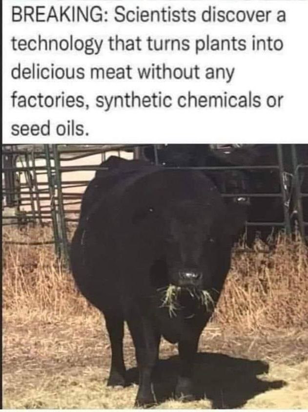 VeBo1991's tweet photo. Breaking news y’all ! 🤣🤣🤣 https://t.co/hVDcIygKti