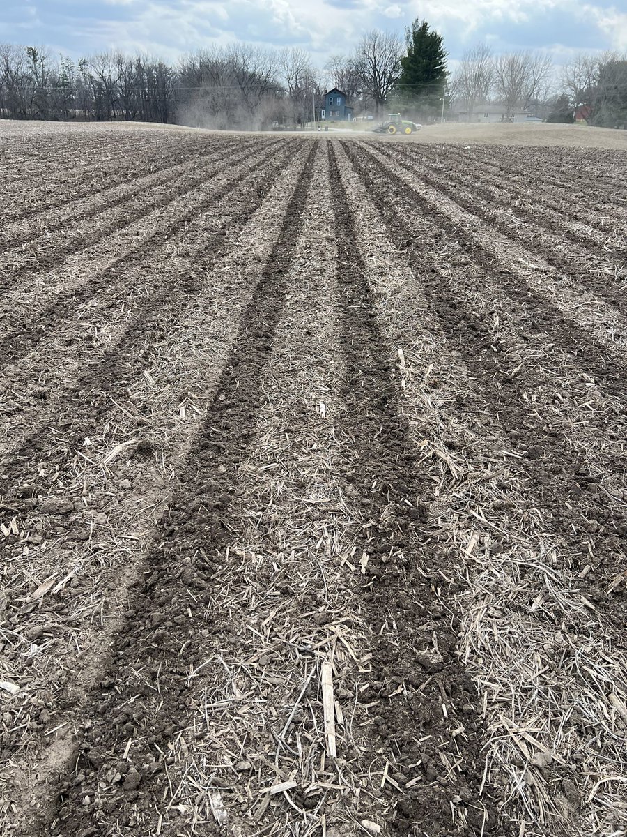AGandythompson's tweet photo. Another @YetterFarmEquip Strip Freshener ready for action. We got a chance to set this machine yesterday in West Central IL before rain last night & today. Should be full bunny soon. https://t.co/SMtF1dA6nY