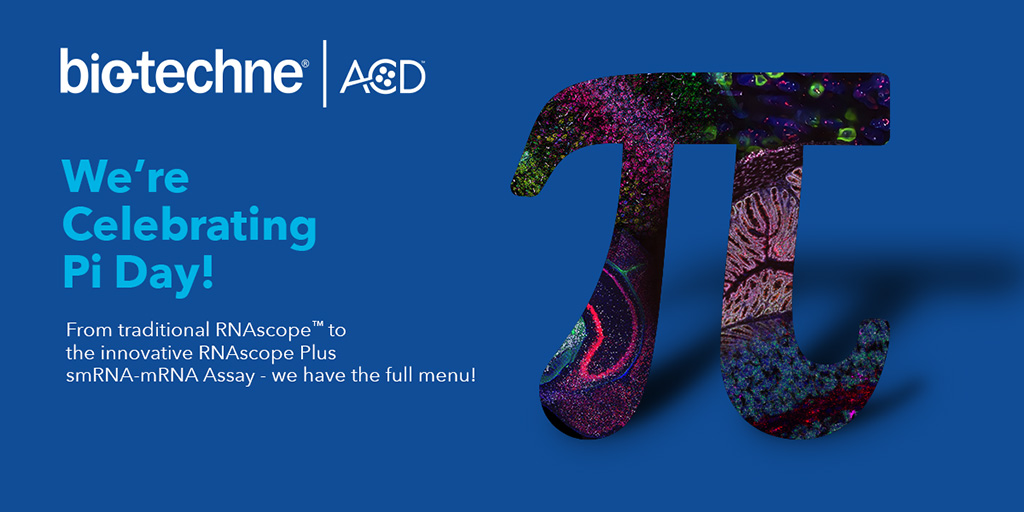 Take a slice of Pi and celebrate Pi Day with us! We have a full menu of #RNAscopeISH assays, from our traditional RNAscope to the emerging #spatialmultiomics applications - you can have the whole Pi! #SeeMorein2024 #AdvancingYourRNAscopeISH Learn more: acdbio.com/science/applic…