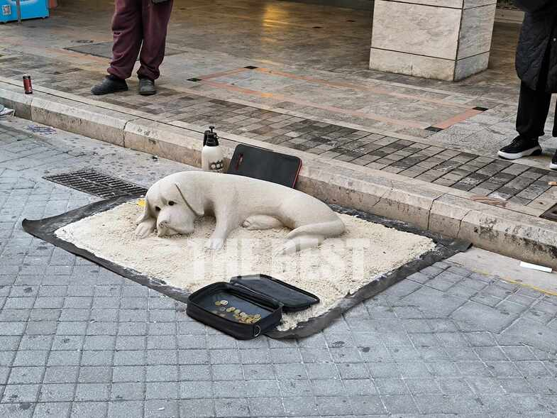 Ένας διαφορετικός σκύλος στον πεζόδρομο της Ρήγα Φεραίου στην Καρναβαλική Πάτρα...φτιαγμένος από έναν καλλιτέχνη της άμμου....
📷
ΤHE BEST Το μεγαλύτερο περιφερειακό portal