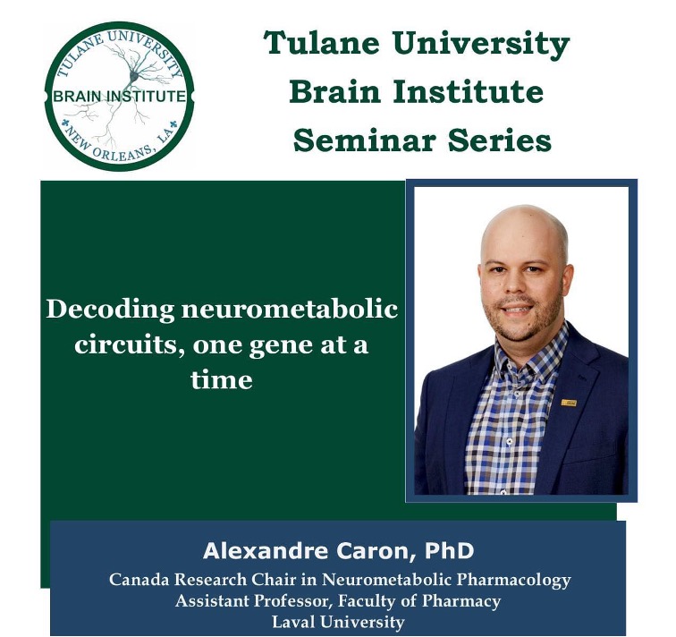 I had a terrific time visiting @TulaneBrain and meeting with amazing scientists☺️. A particular thanks to Lucie, Andrea and Andrei for the invitation and insightful discussion on the SNS control of liver metabolism and their most recent review: journals.physiology.org/doi/abs/10.115…