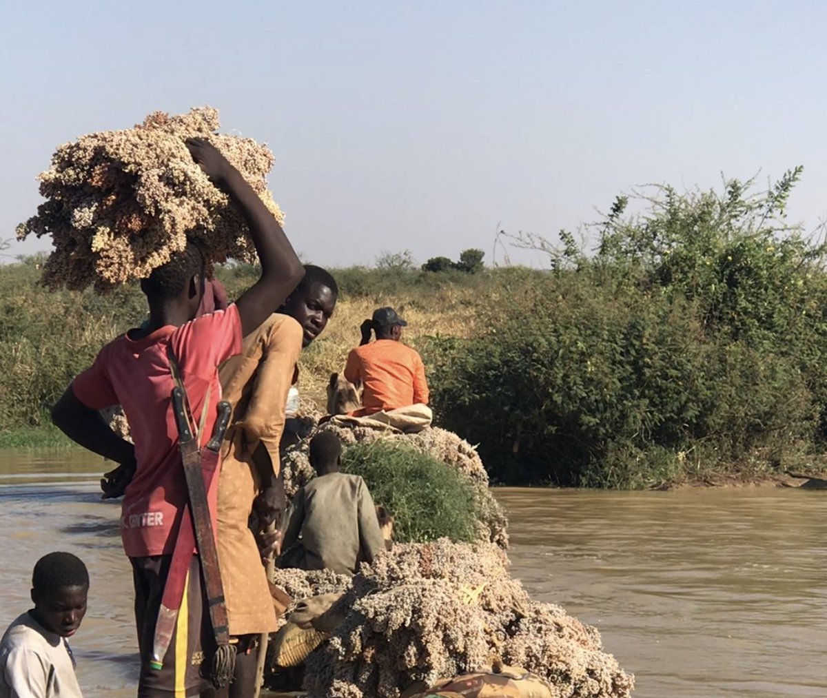 The flooding from the Rima River &amp; the failure of the Goronyo Dam have left farming communities in Sokoto divided from their farmlands &amp; without a reliable way to get there, the people have turned to a novel transportation system known as Jirgi. 

solutionspaper.com/canoes-become-…