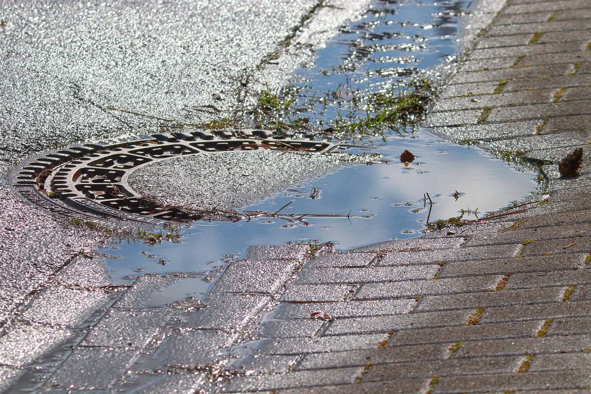 🌧️Only rain down drain! Don't put polluting substances into drains such as: 🚱Oil 🚱Chemicals 🚱Concrete 🚱Dyes, inks & paints 🚱Cleaning materials 🚱Car wash & detergents 🚱Pesticides & Fertilisers ☎️Call 0800807060 to report pollution to NIEA Hotline @nidirect @NI_LGA