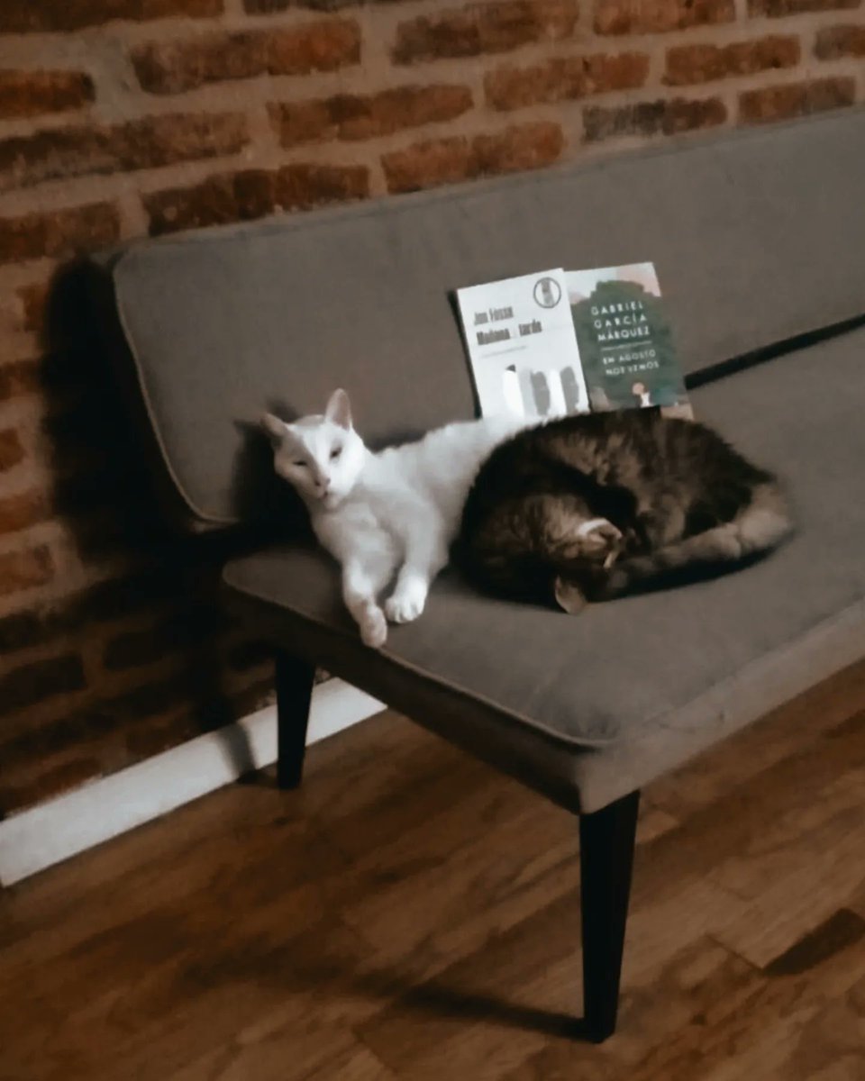 José Miguel Onaindia tweet media