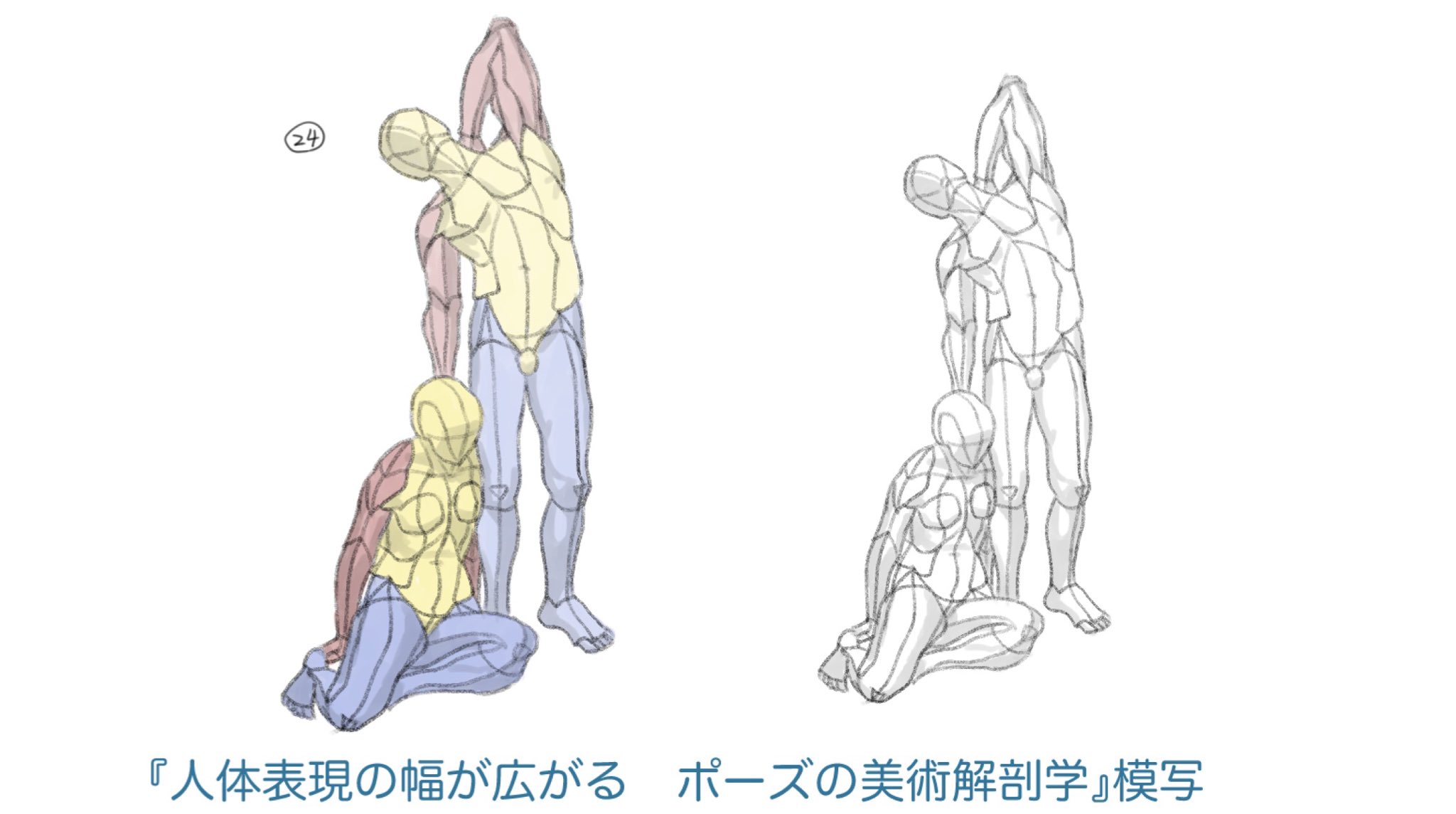 新品　ポーズの美術解剖学 Amazon.co.jp: ポーズの美術解剖学 人体表現の幅が広がる eBook