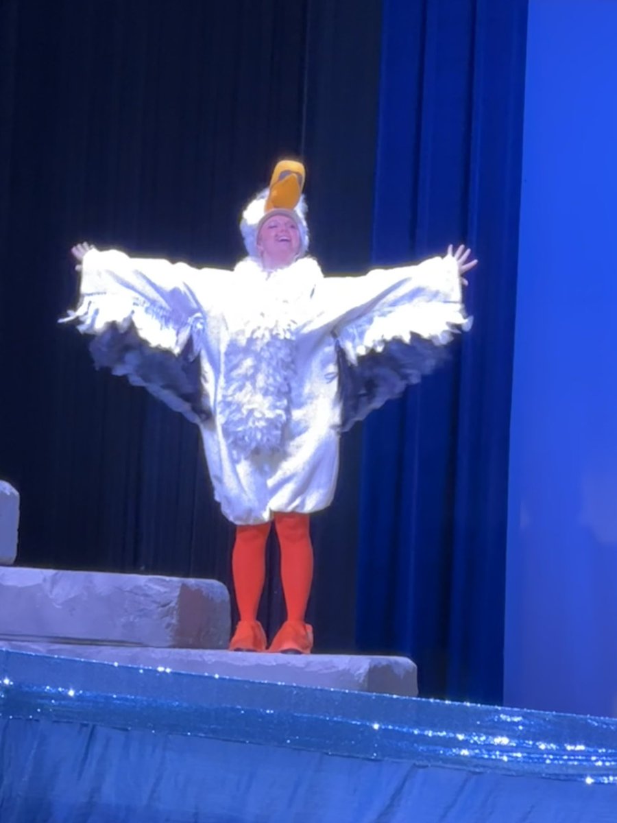 Seward Softball tweet media