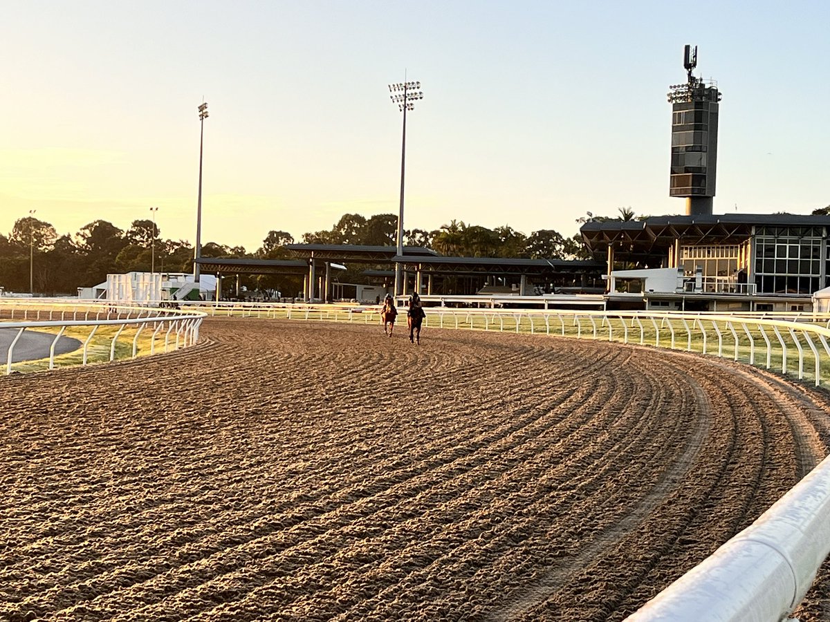 Sunshine Coast track update Weather Fine Track Synthetic Irrigation nil past 24hrs and past 7 days Rainfall nil past 24hrs Total of 30mm past 7 days Rail true entire circuit