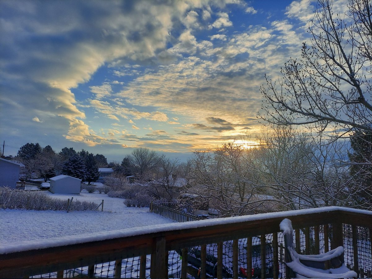 March morning in Montana ❄️