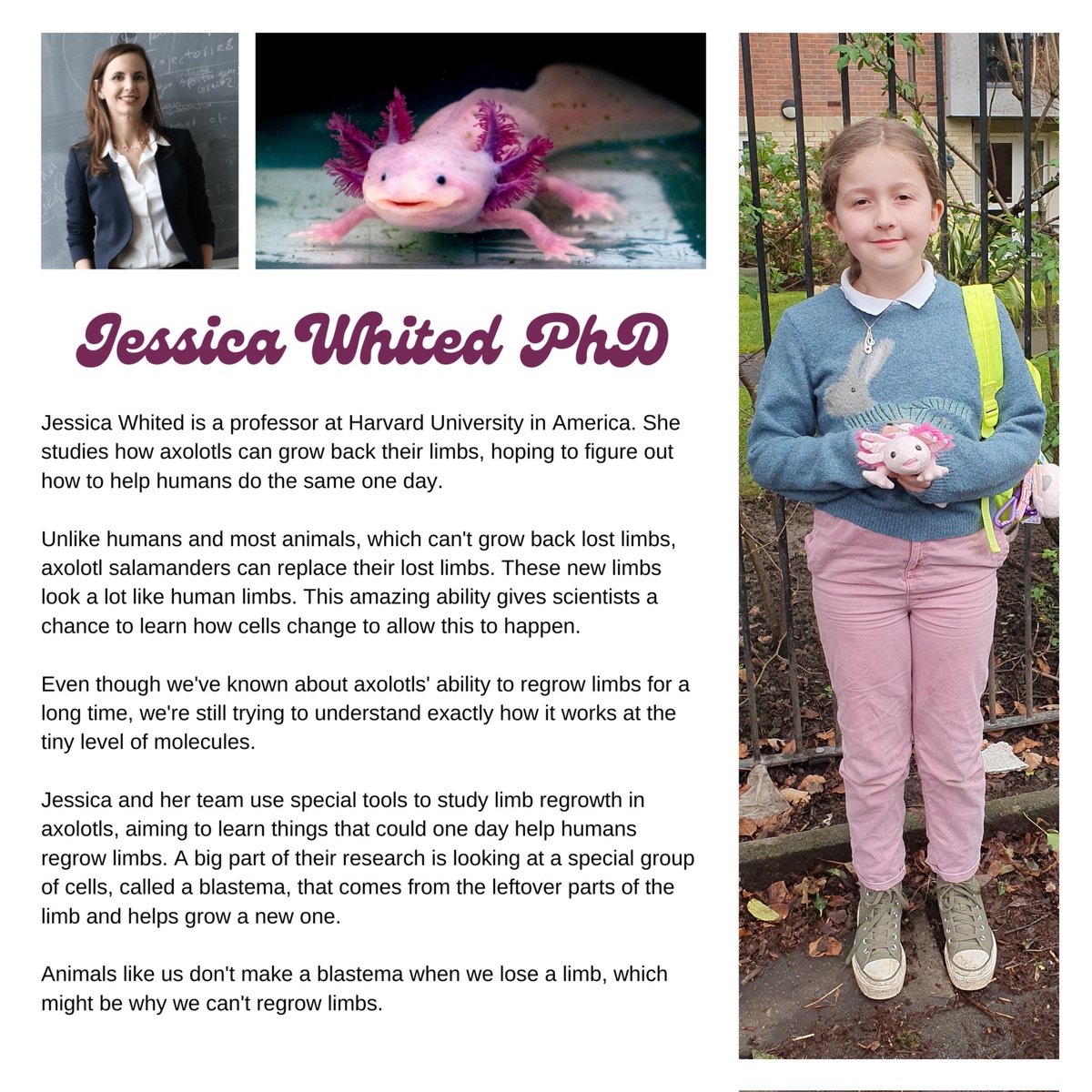 LizPayne77's tweet photo. My 9-year-old channelled her inner @JessLaMae for #BritishScienceWeek2024 at school today by embracing the role of an axolotl scientist! 🦎👩‍🔬 Thanks for the inspo Jessica! #FutureScientist #STEMGirls #AxolotlAdventures #ThisGirlCan https://t.co/oWAJOzsVLB