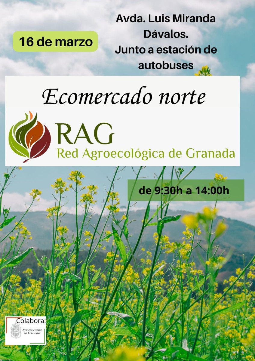 Este sábado 16 tenemos Ecomercado Norte