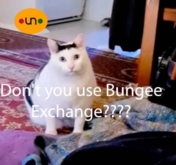 wesleytuckerok's tweet photo. @BungeeExchange hehe https://t.co/RV3AEGVqN4
