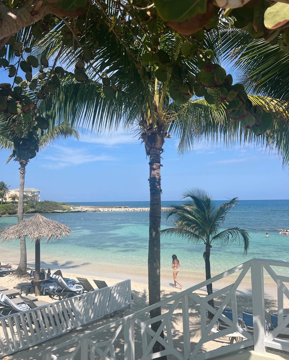 oxJess's tweet photo. beach days in jamaica 🥥 https://t.co/kgkKiDcb6u