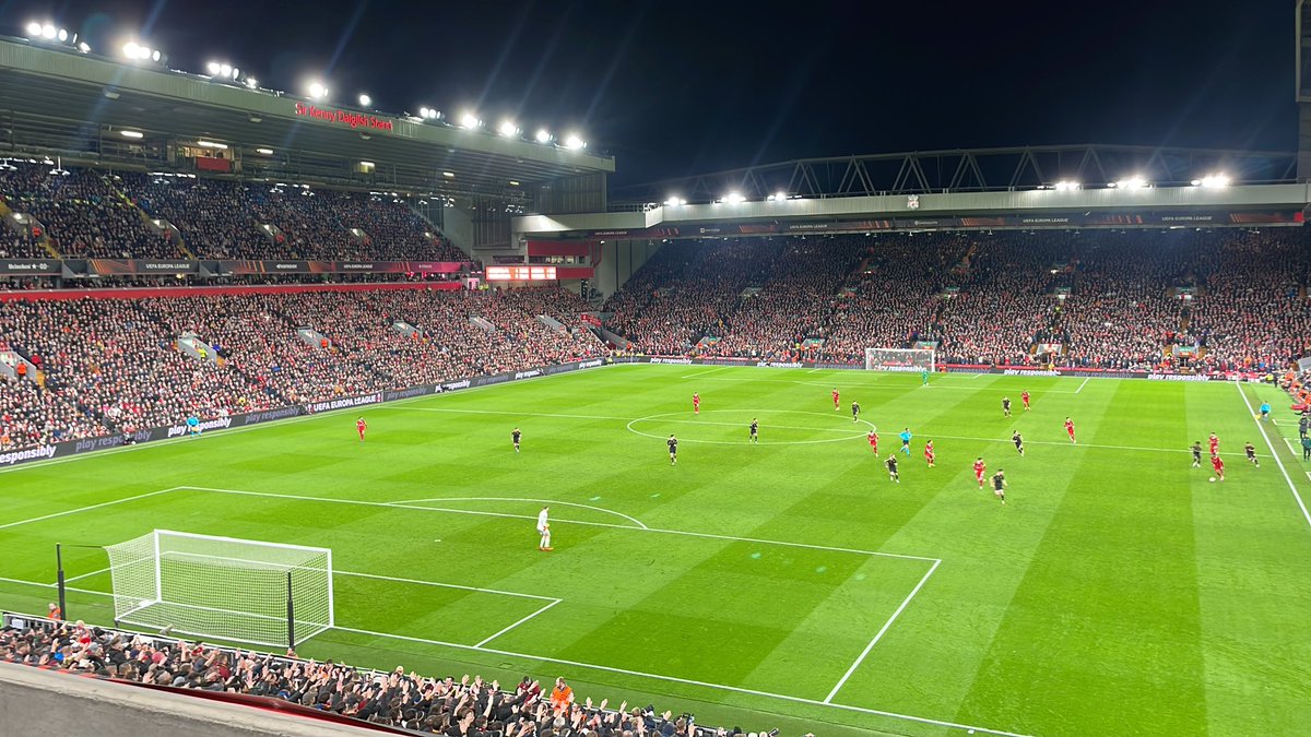 🇮🇪🇵🇸 tweet media