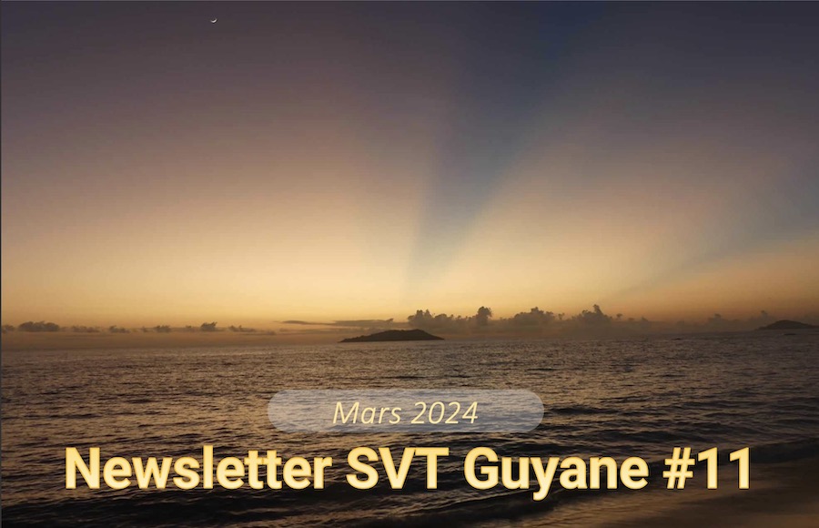 IAN SVT Guyane tweet media