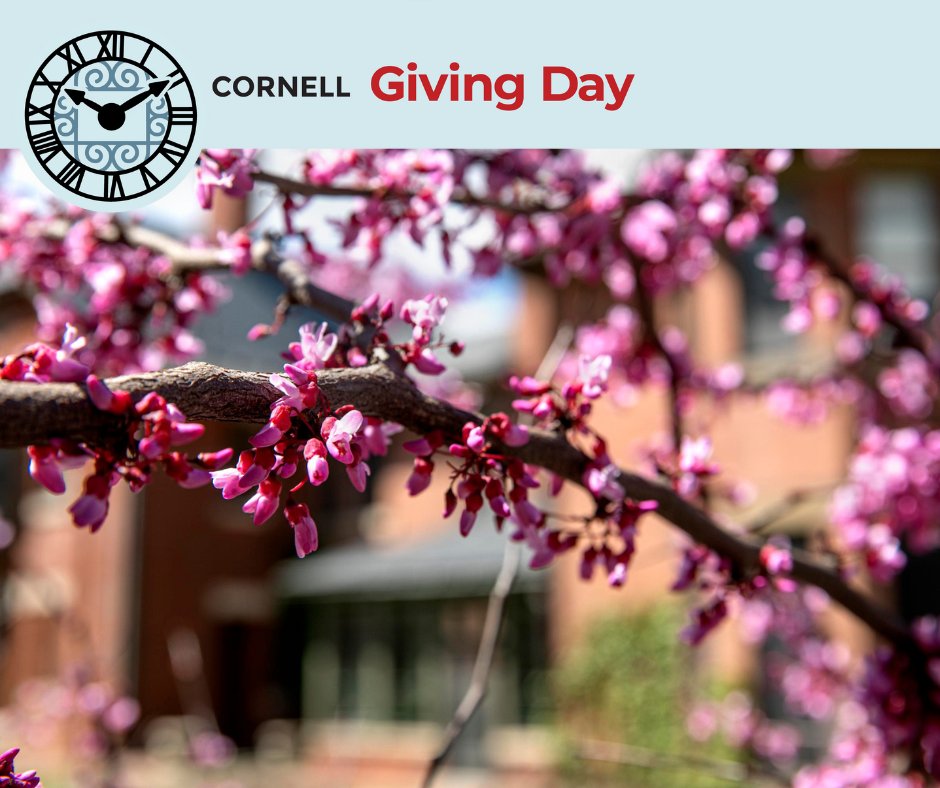 Spring into action! Only a few hours left to donate (even a small amount) to the Society for the Humanities on #CornellGivingDay, March 14 (12:00am - 11:59pm EDT). Make a secure donation: givingday.cornell.edu/donate?campaig… Thank you for supporting the humanities at Cornell!