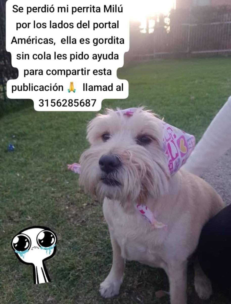 Quienlocreyera's tweet photo. #Difundo #Bogotá https://t.co/GlzCBGTXEA