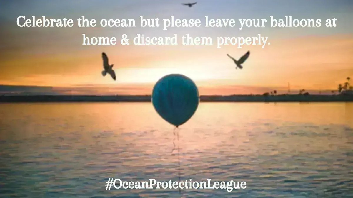 Celebrate the ocean but please leave your balloons at home and discard them properly.

🎈⛱️

#OceanProtectionLeague #SaveTheOcean #ocean #beach #nature #sea #travel #love #sky #water #climatechange #Sustainable #Balloons #Recycle4Nature #recycling #ClimateAction #environment