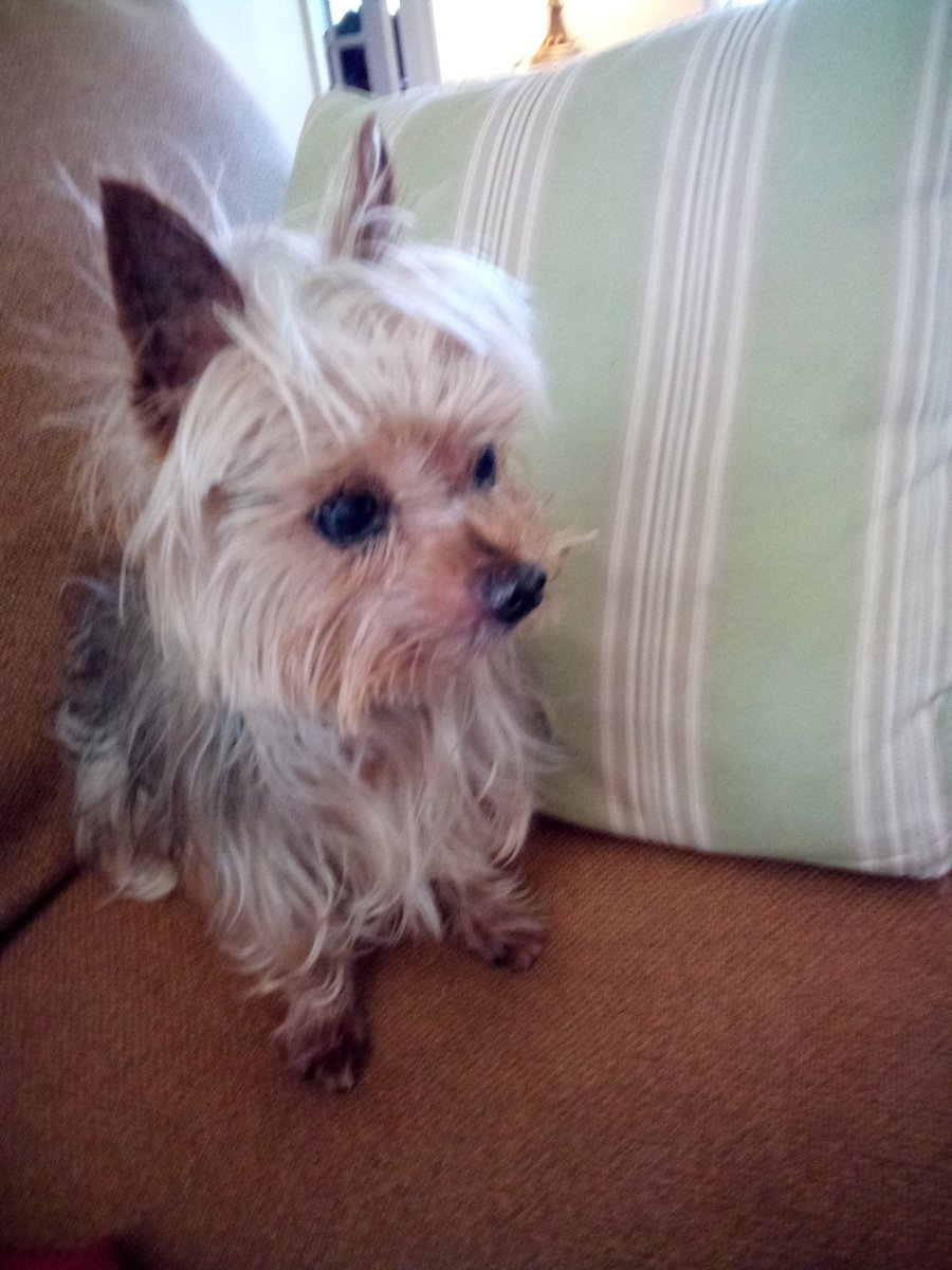 Sweet Pete.  Super little boy