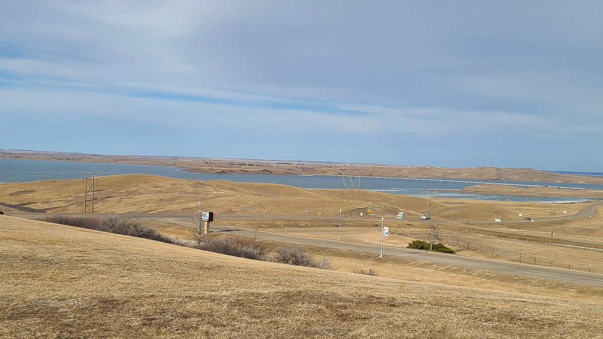 Mariia Zimmerman tweet media